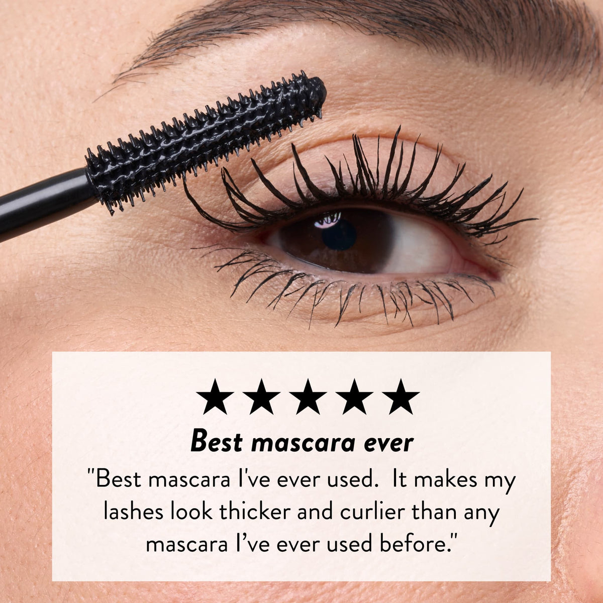 Kajal Mascara & Eyelash Curler Kit (2PC)