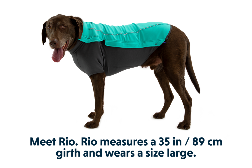 Cloud Chaser™ Dog Jacket