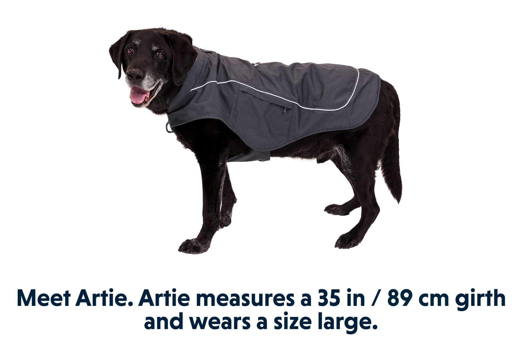 Overcoat Fuse™ Vest
