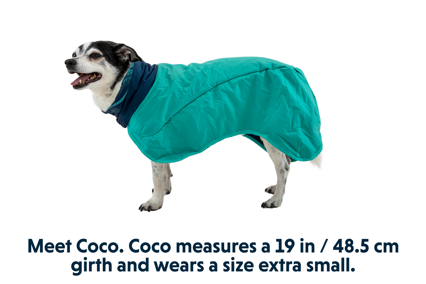Dirtbag™ Dog Towel