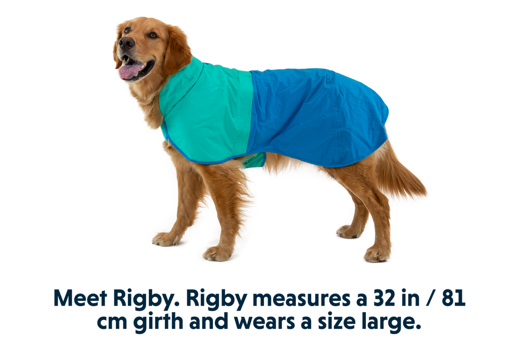 Sun Shower™ Dog Raincoat