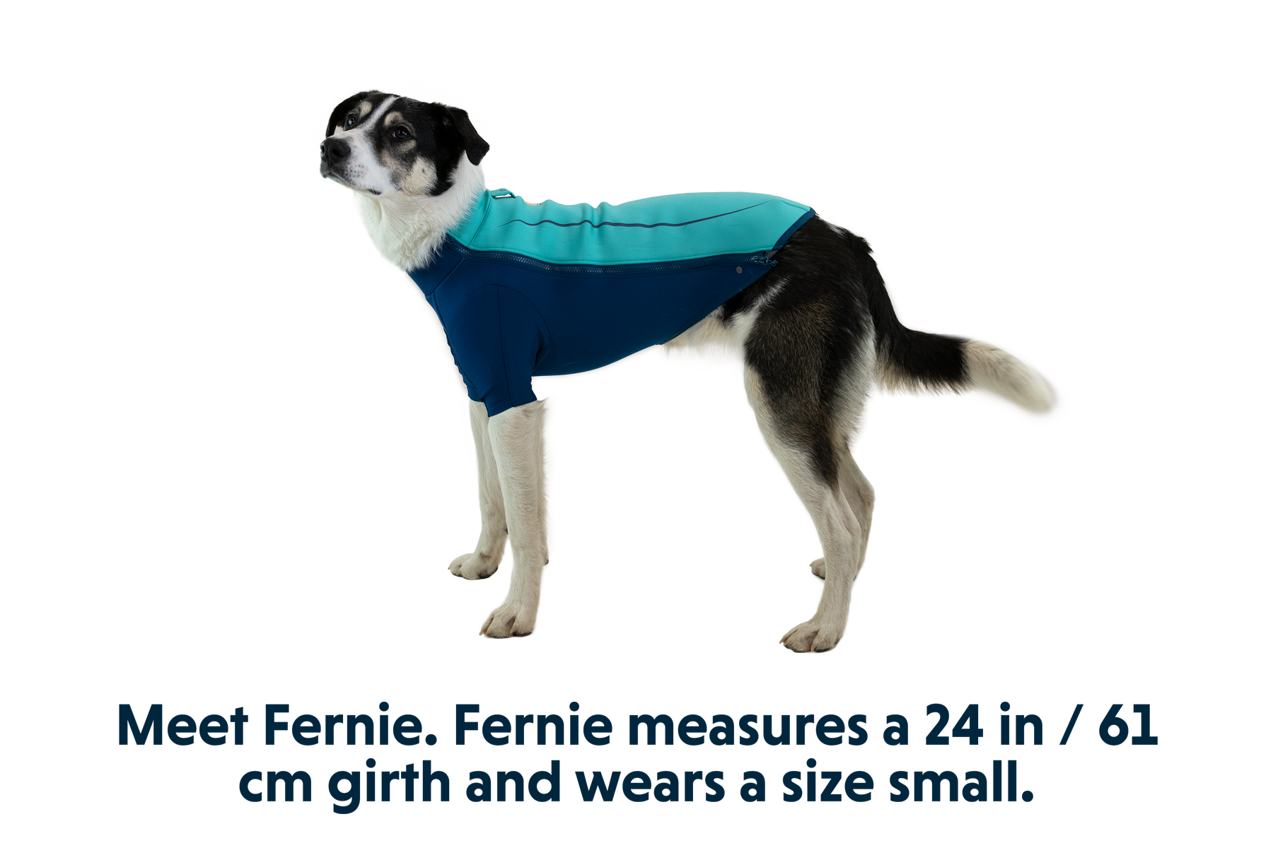 Undercoat™ Dog Water Jacket