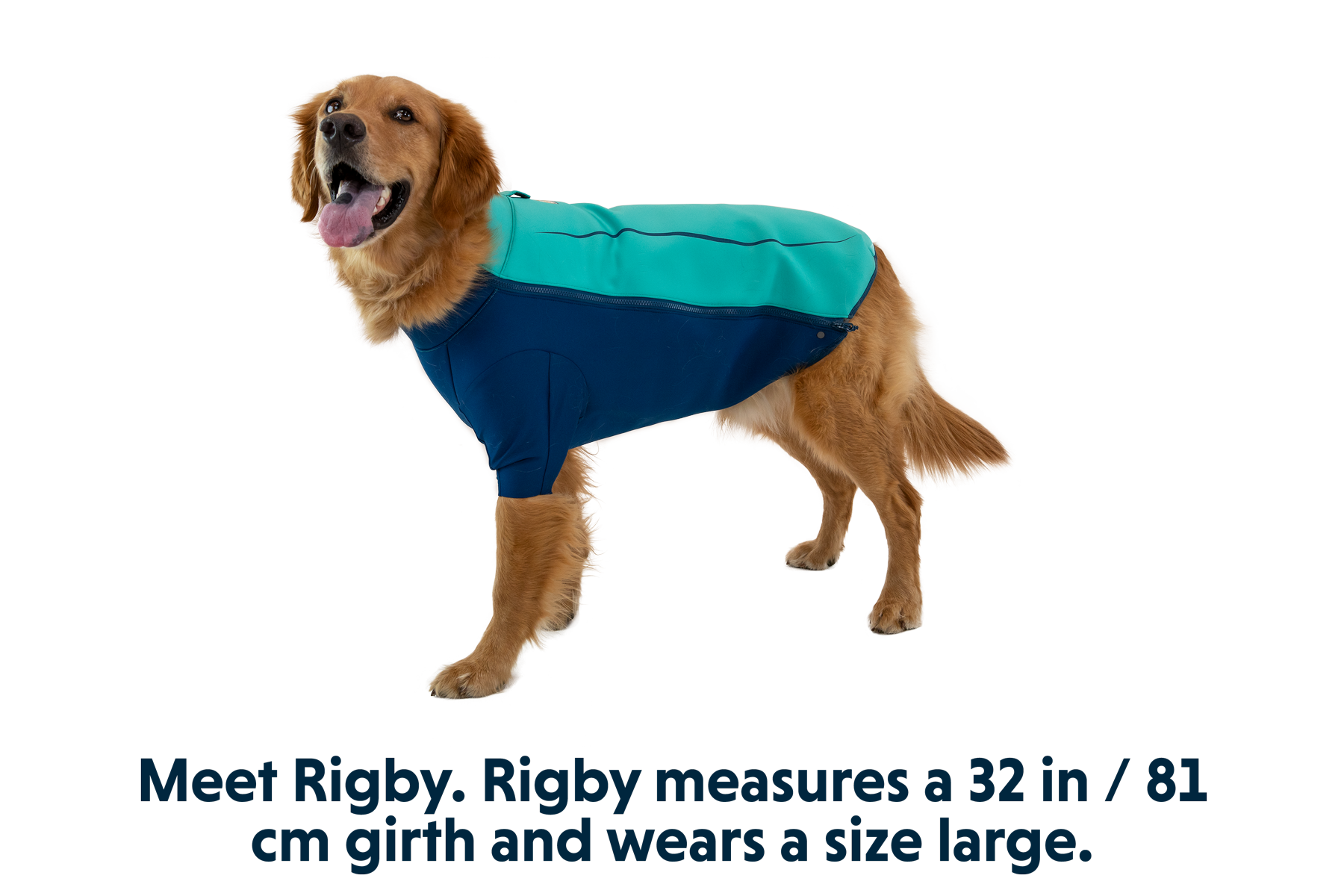 Undercoat™ Dog Water Jacket