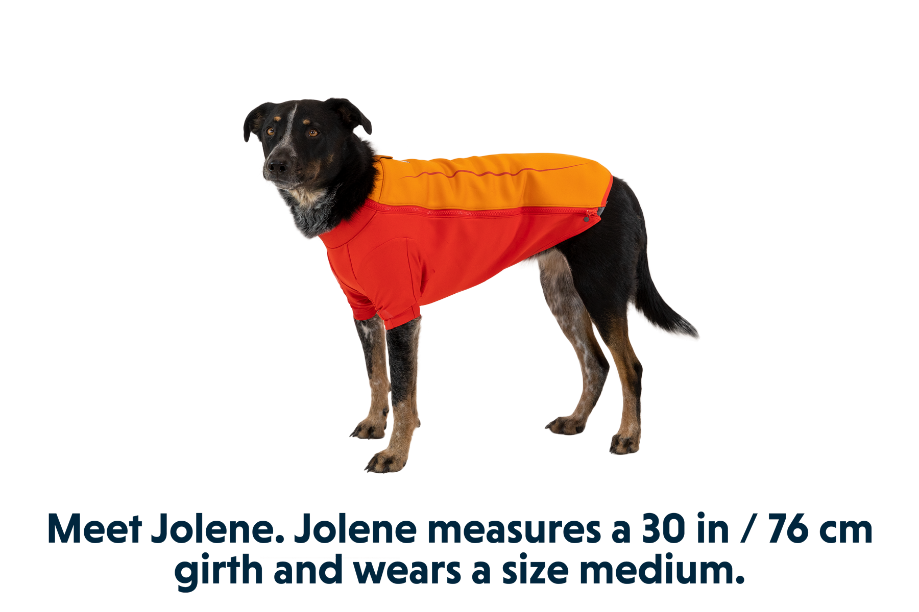 Undercoat™ Dog Water Jacket