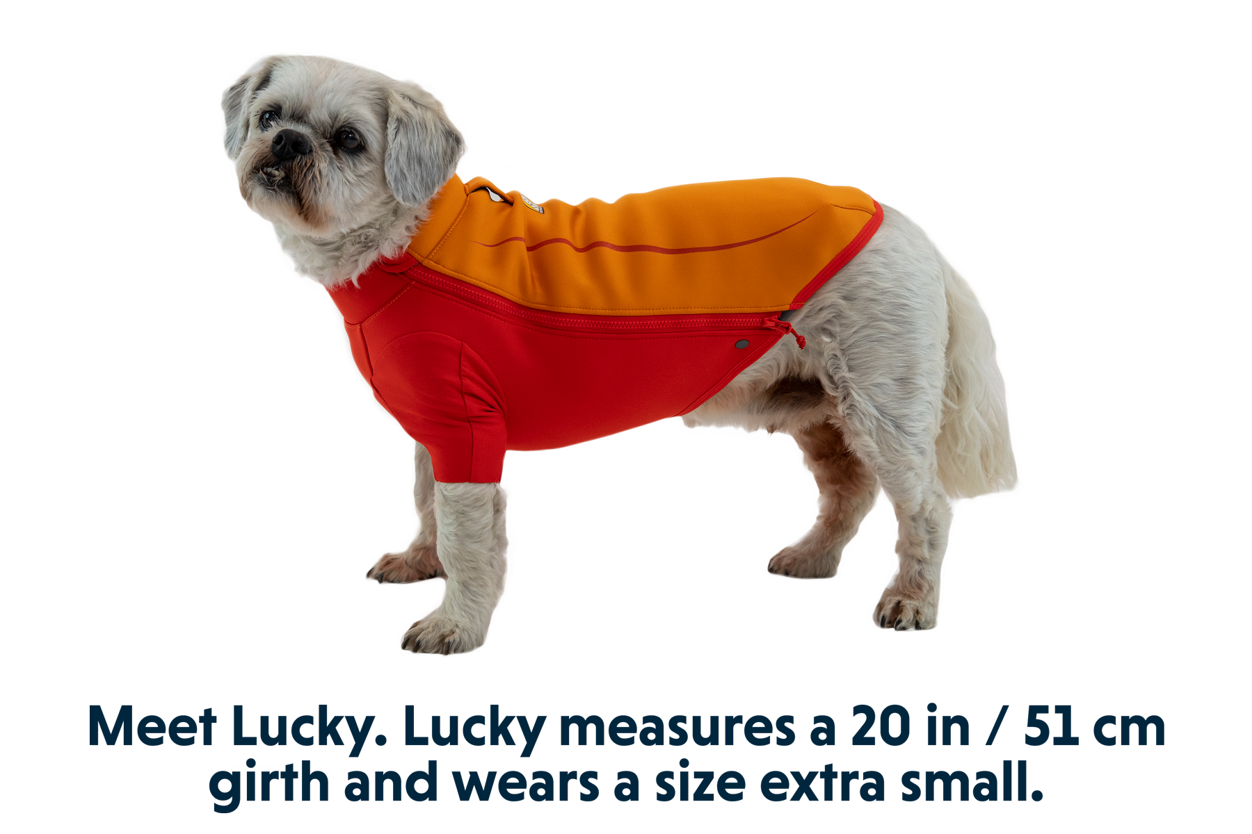Undercoat™ Dog Water Jacket