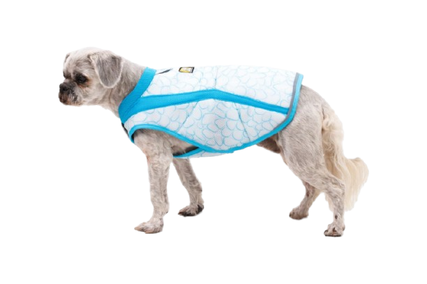 Swamp Cooler™ Cooling Dog Vest