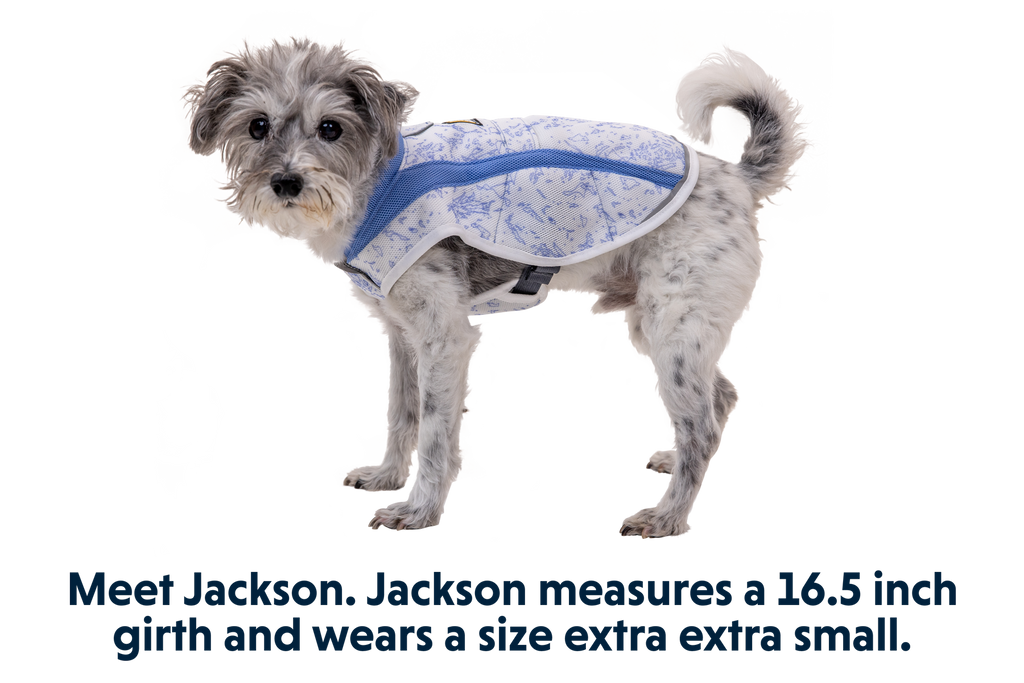 Swamp Cooler™ Cooling Dog Vest