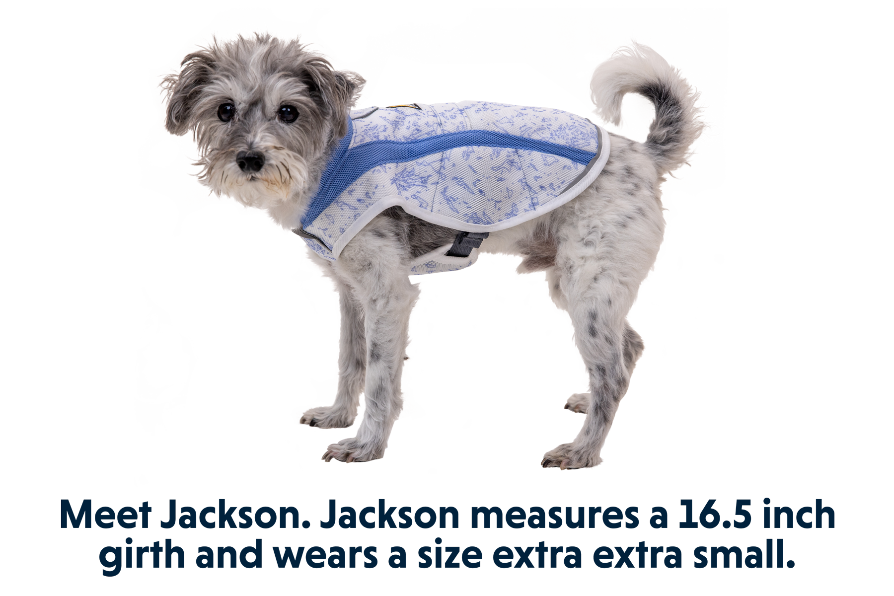 Swamp Cooler™ Cooling Dog Vest