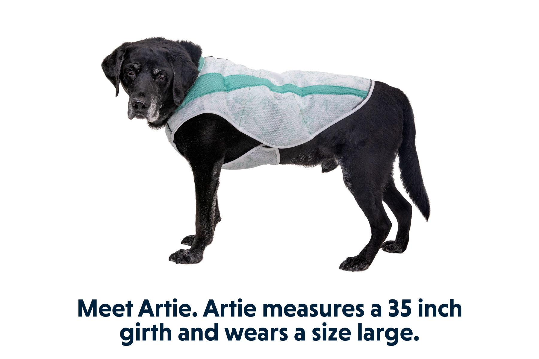 Swamp Cooler™ Cooling Dog Vest