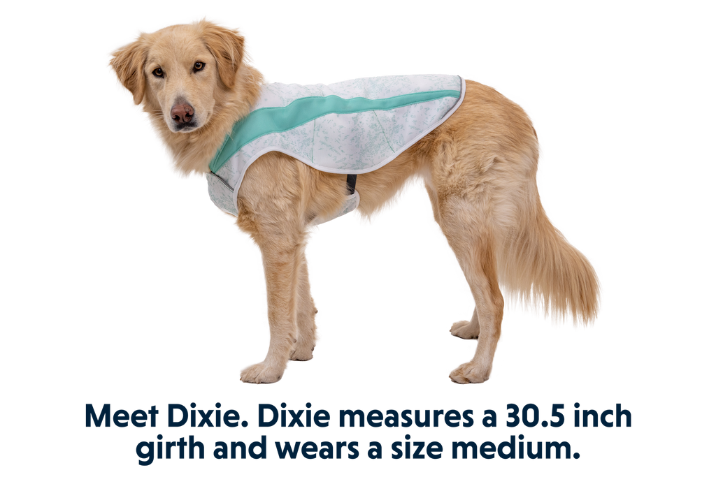 Swamp Cooler™ Cooling Dog Vest