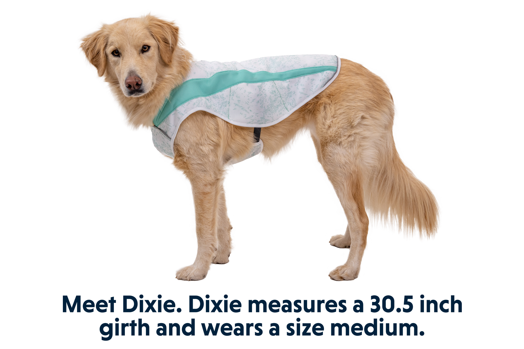 Swamp Cooler™ Cooling Dog Vest