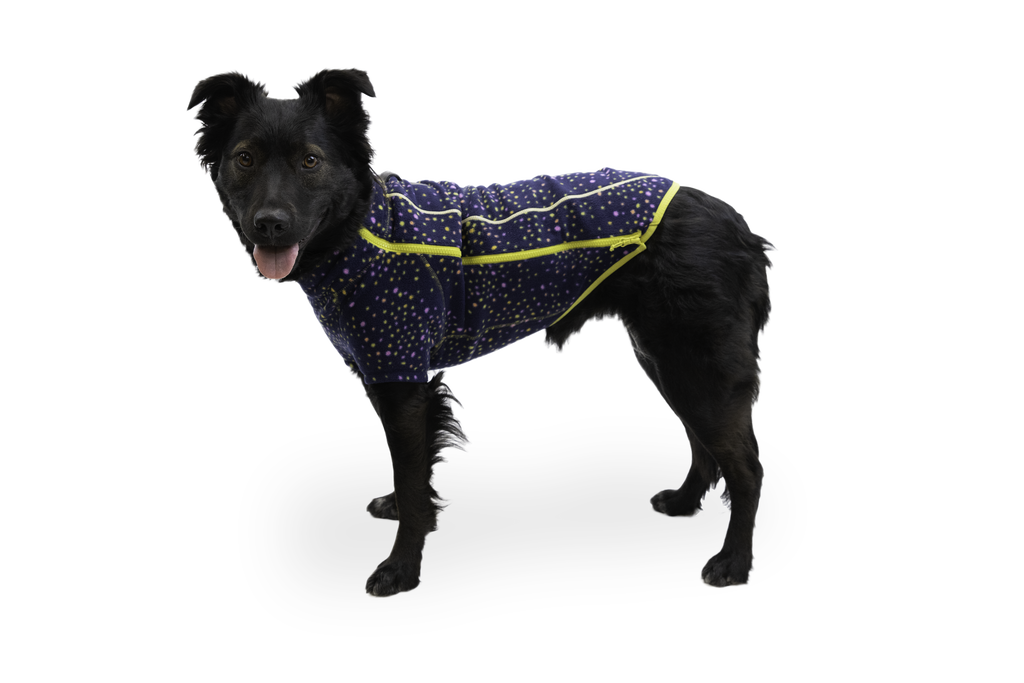 Climate Changer™ Dog Fleece