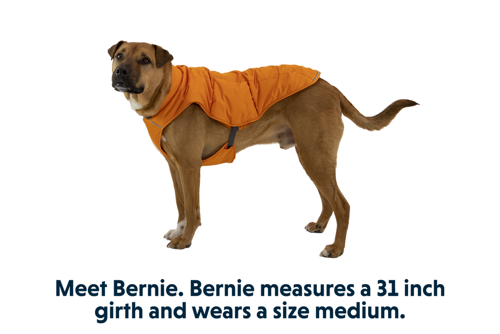 Quinzee™ Insulated Vest