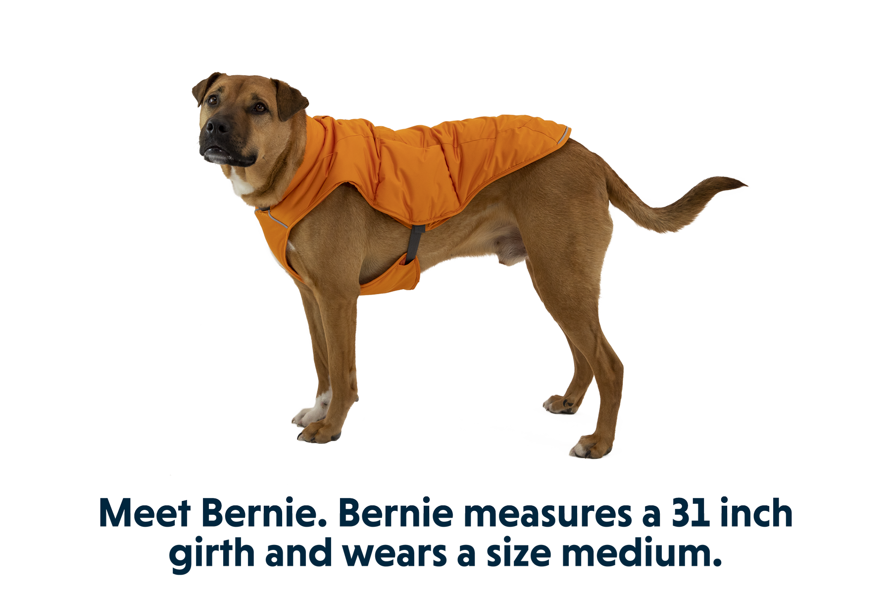 Quinzee™ Insulated Vest