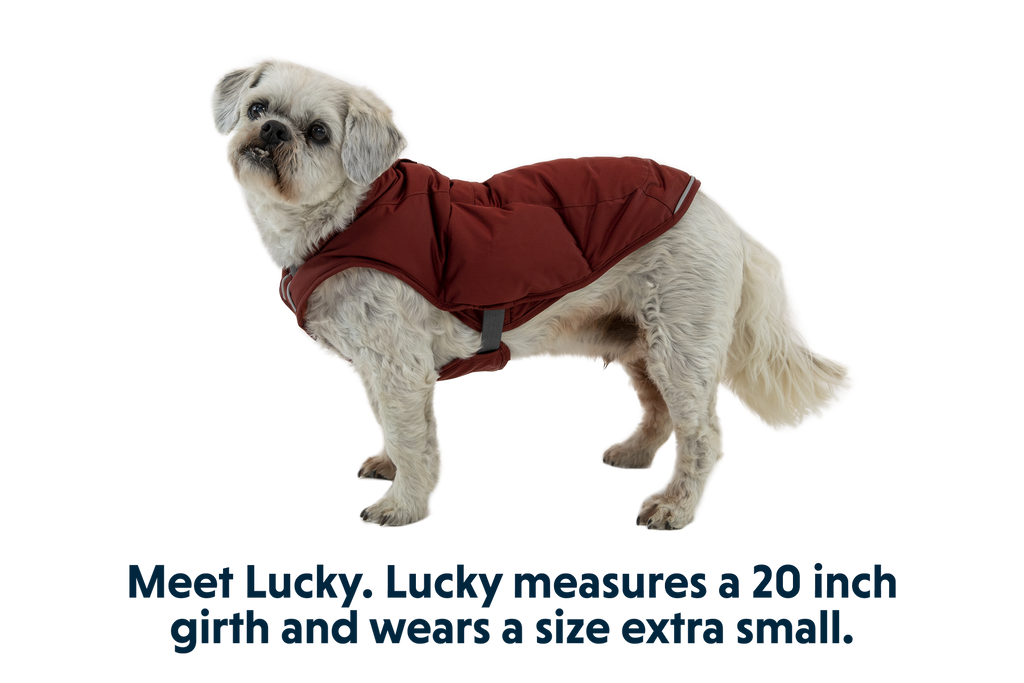 Quinzee™ Insulated Vest