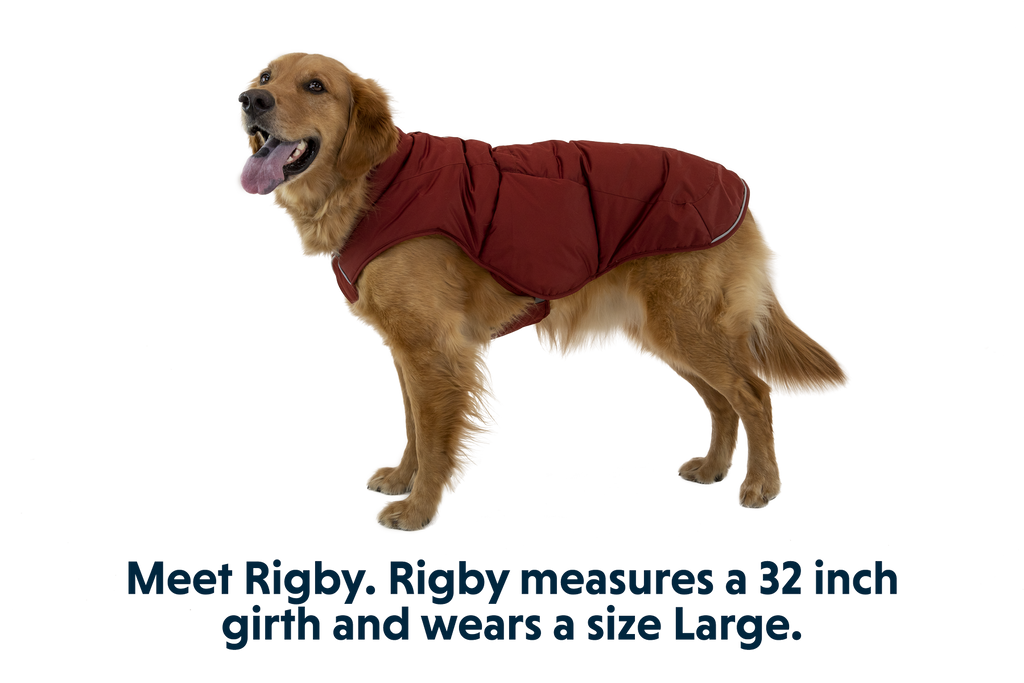 Quinzee™ Insulated Vest