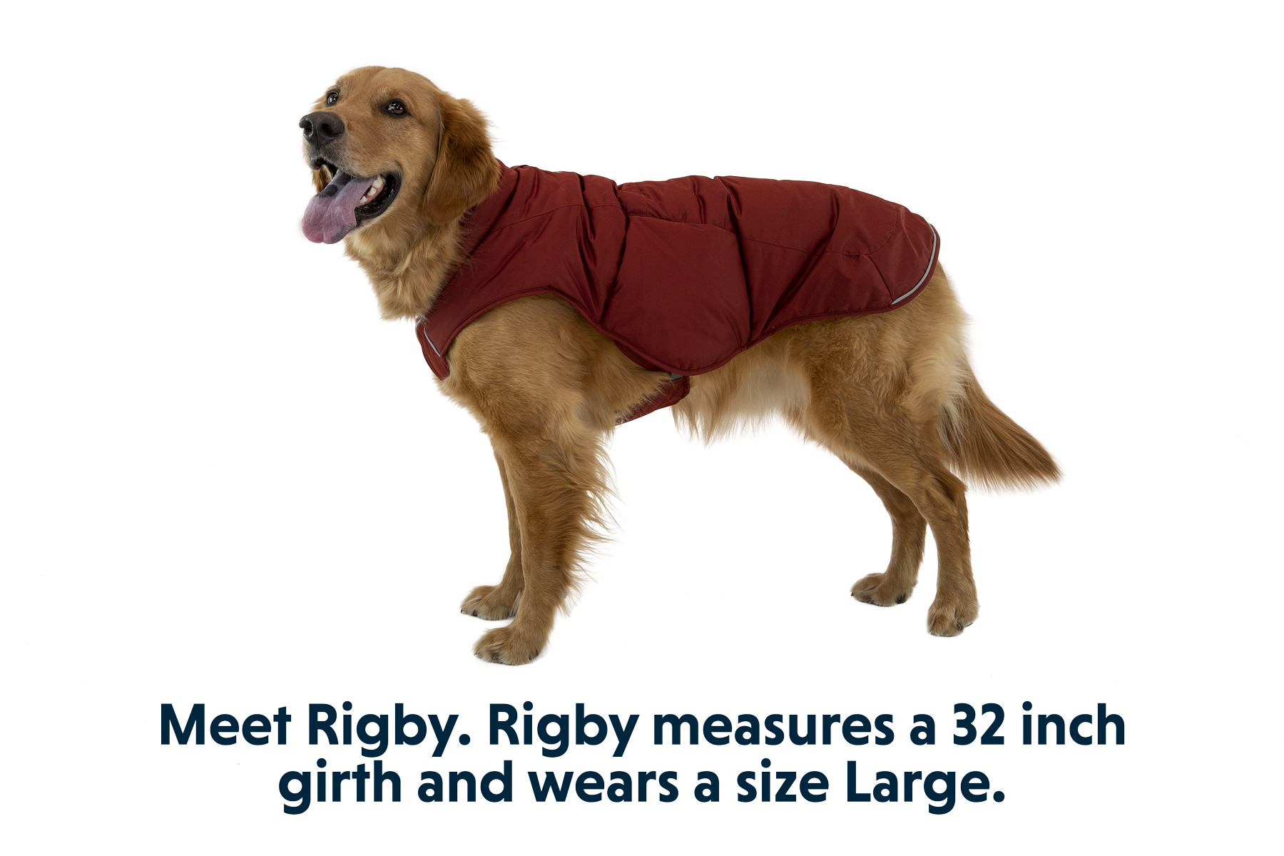 Quinzee™ Insulated Vest