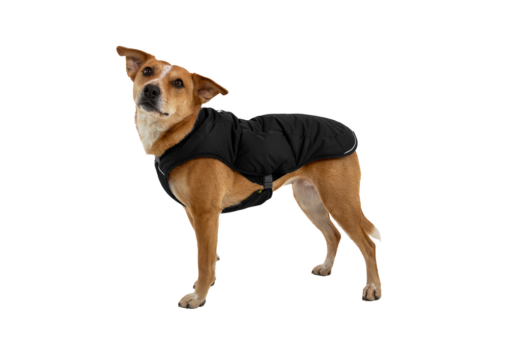 Quinzee™ Insulated Vest