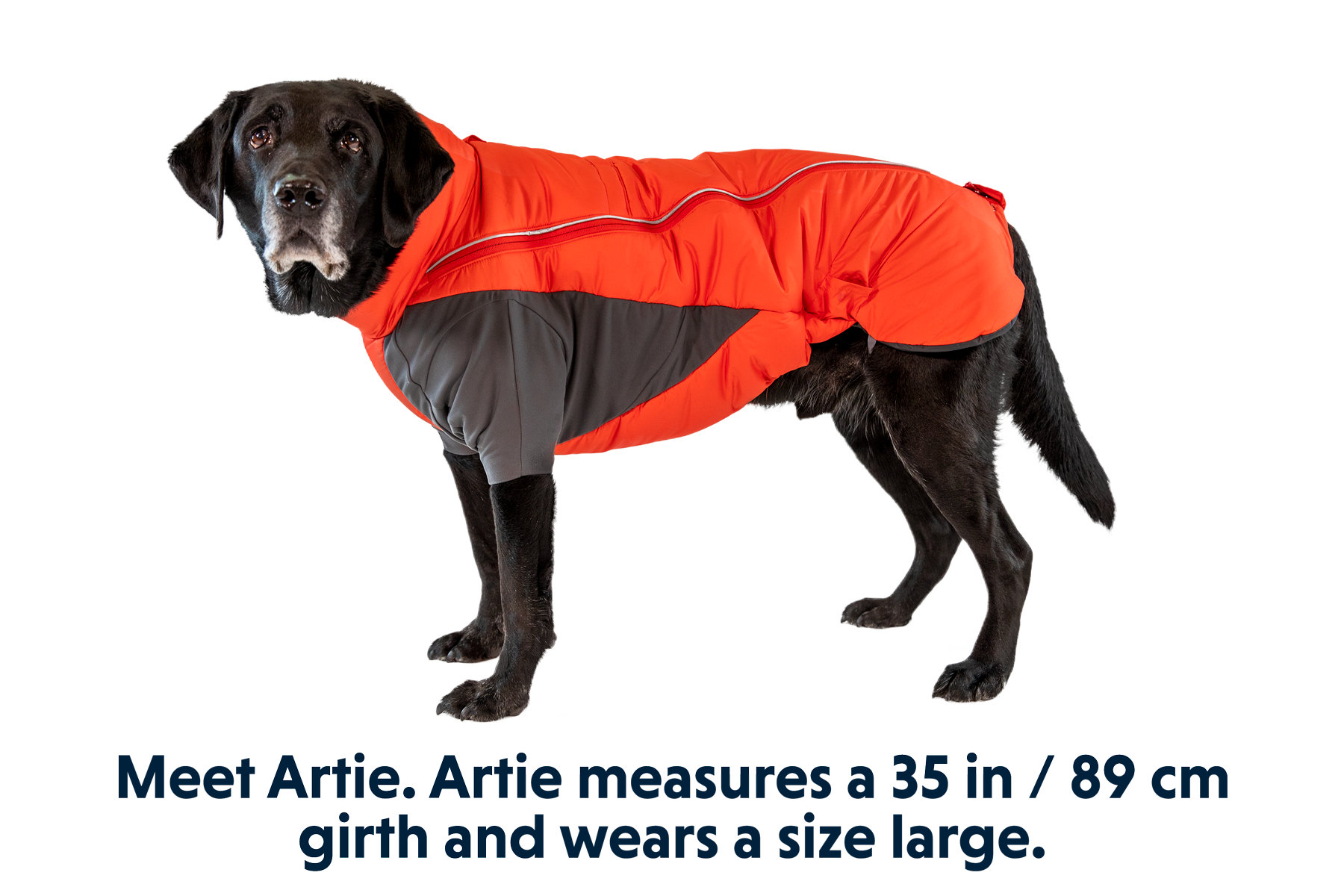 Furness™ Dog Jacket