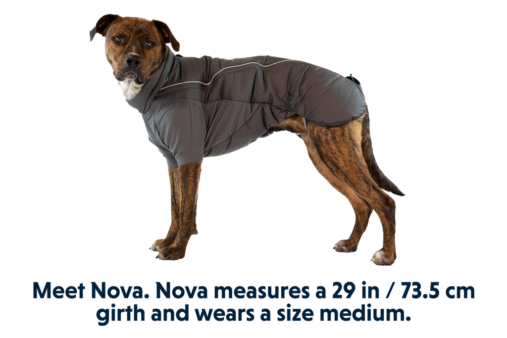 Furness™ Dog Jacket