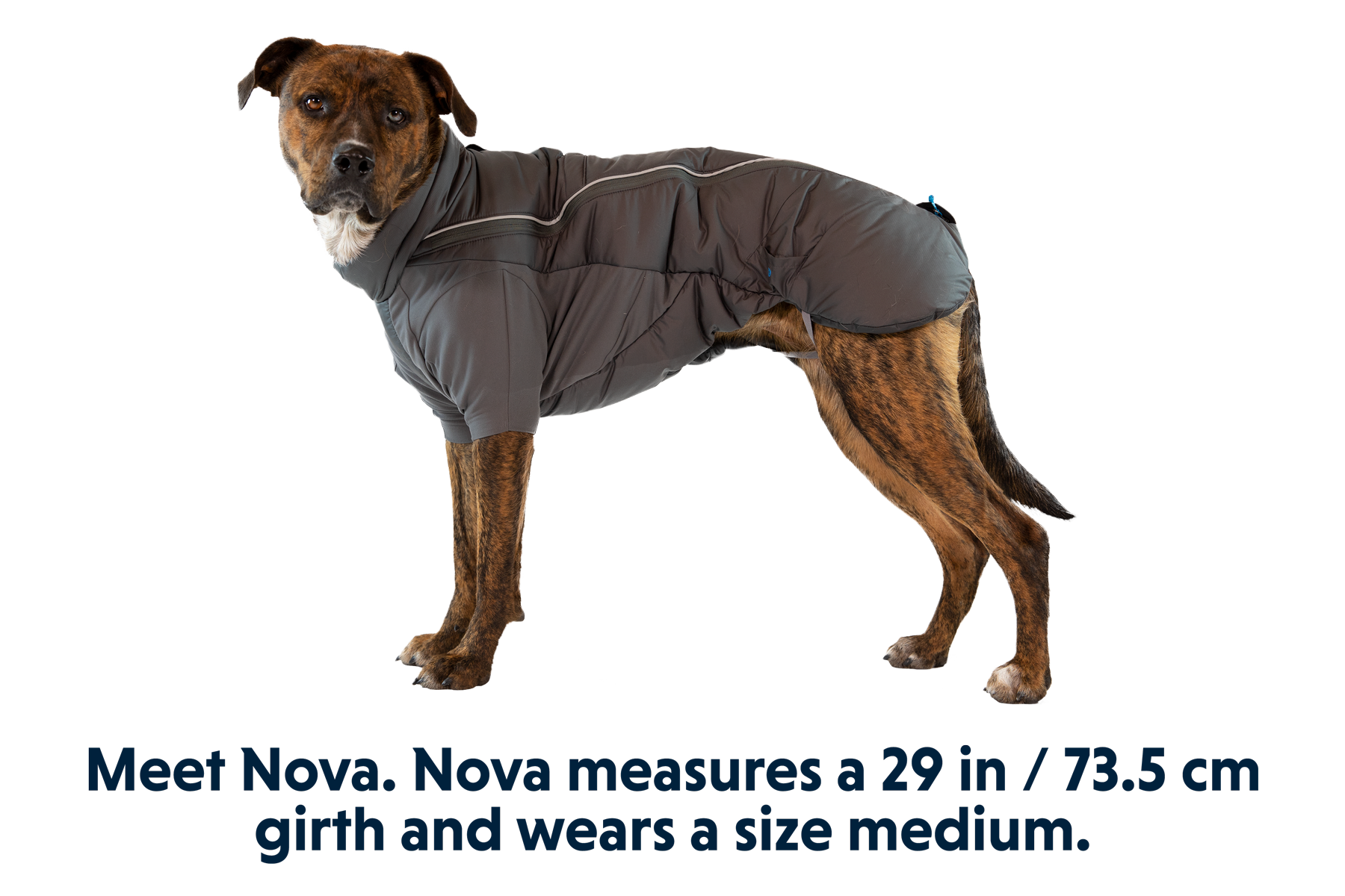 Furness™ Dog Jacket
