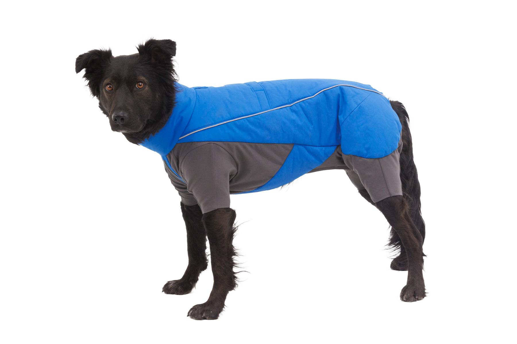 Vert™ Coverall Dog Snow Suit
