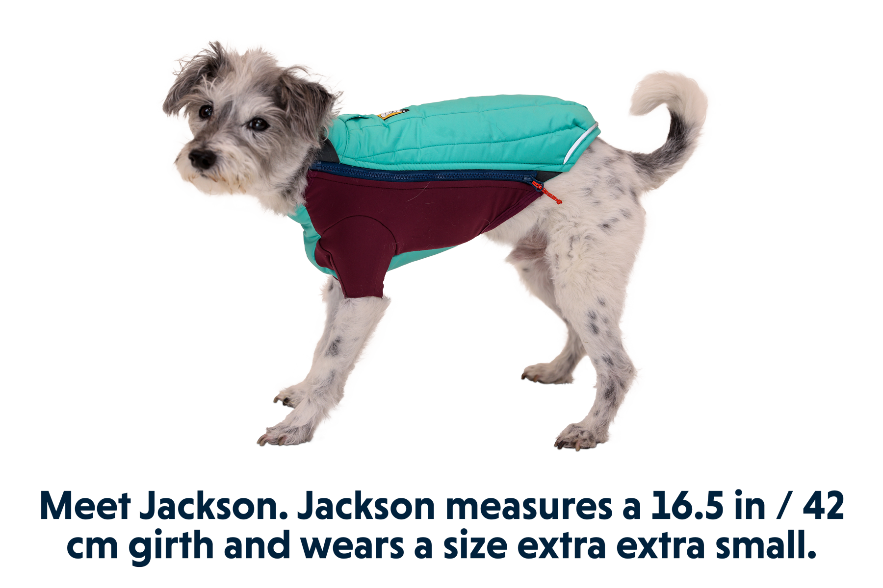 Powder Hound™ Dog Jacket