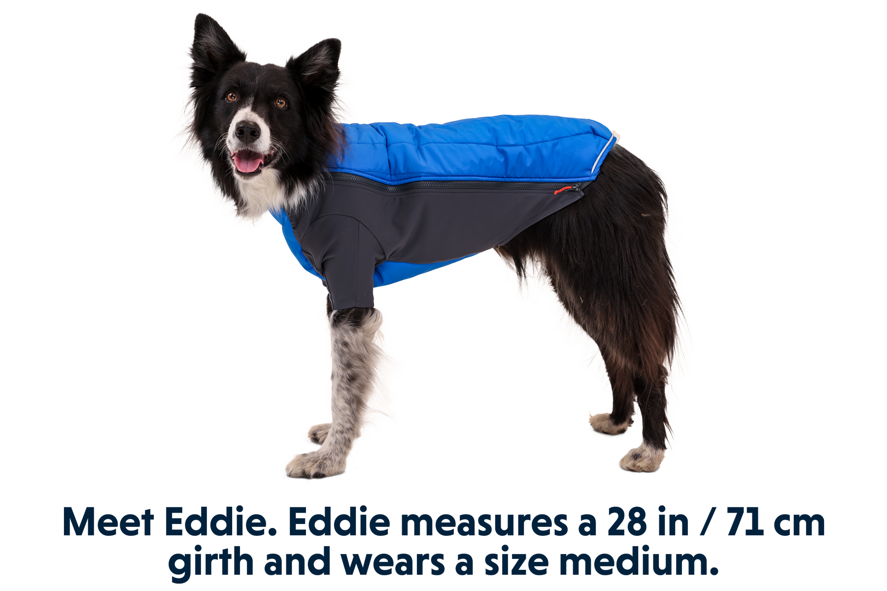 Powder Hound™ Dog Jacket