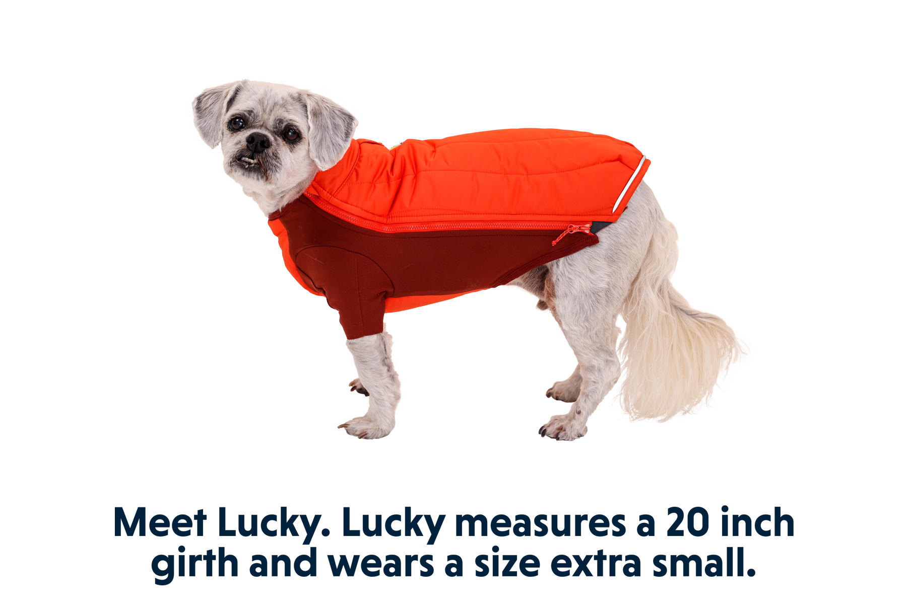 Powder Hound™ Dog Jacket
