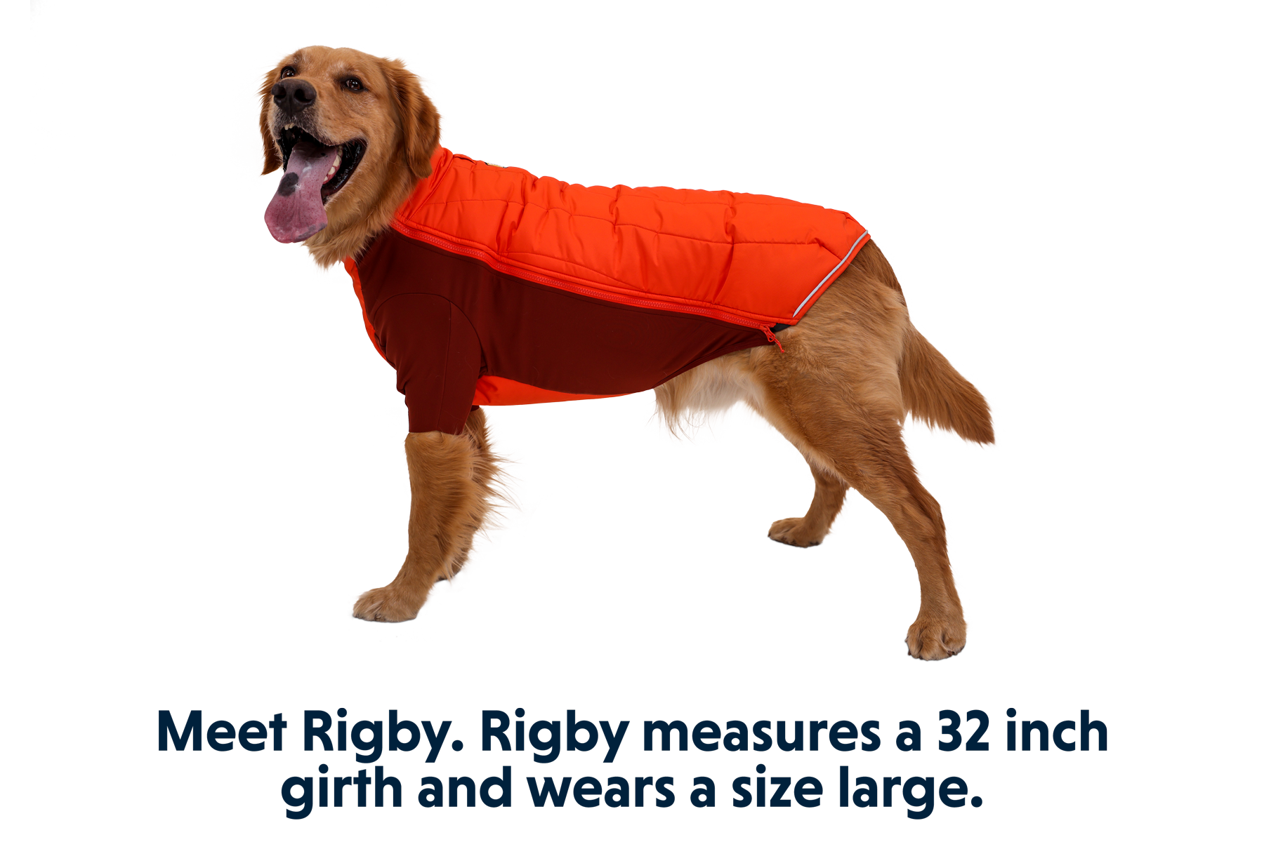 Powder Hound™ Dog Jacket