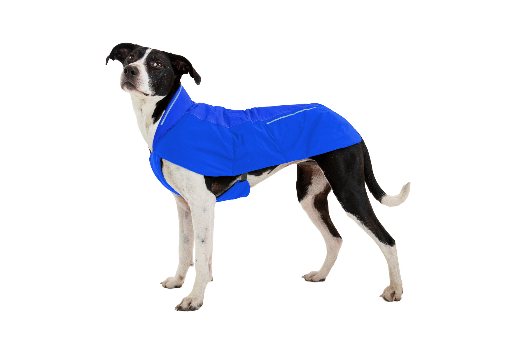 Vert™ Waterproof Insulated Vest