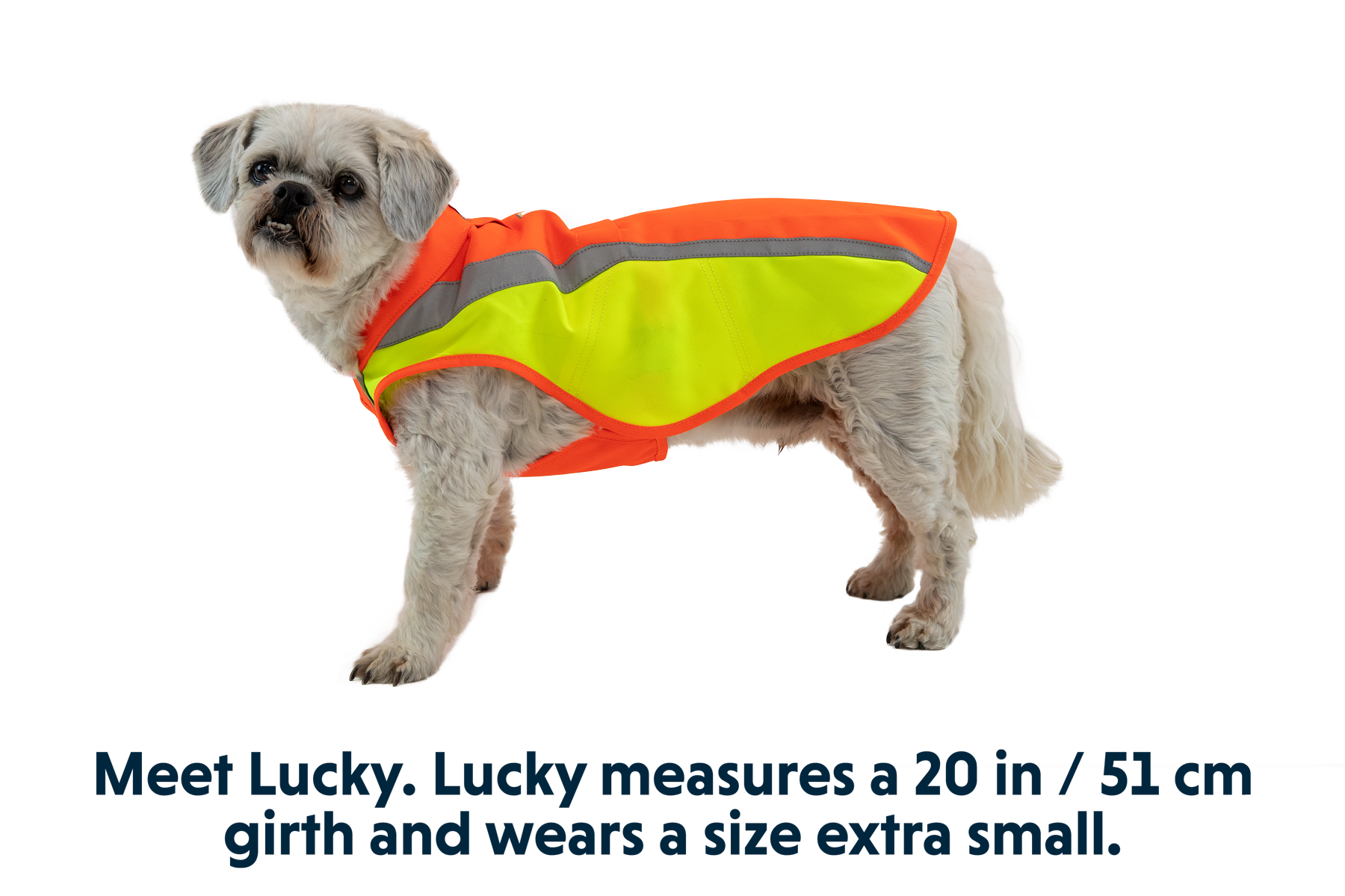 Lumenglow™ High-Vis Vest