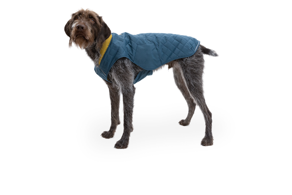 Stumptown™ Insulated Vest