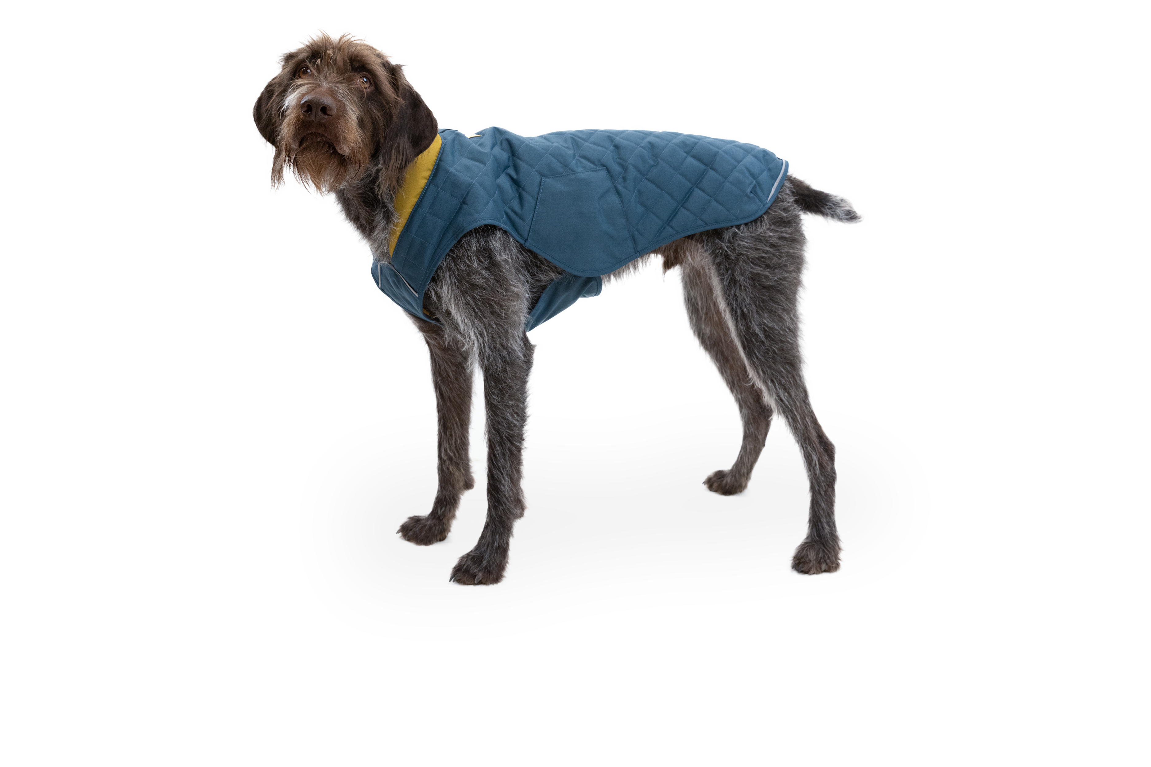 Stumptown™ Insulated Vest