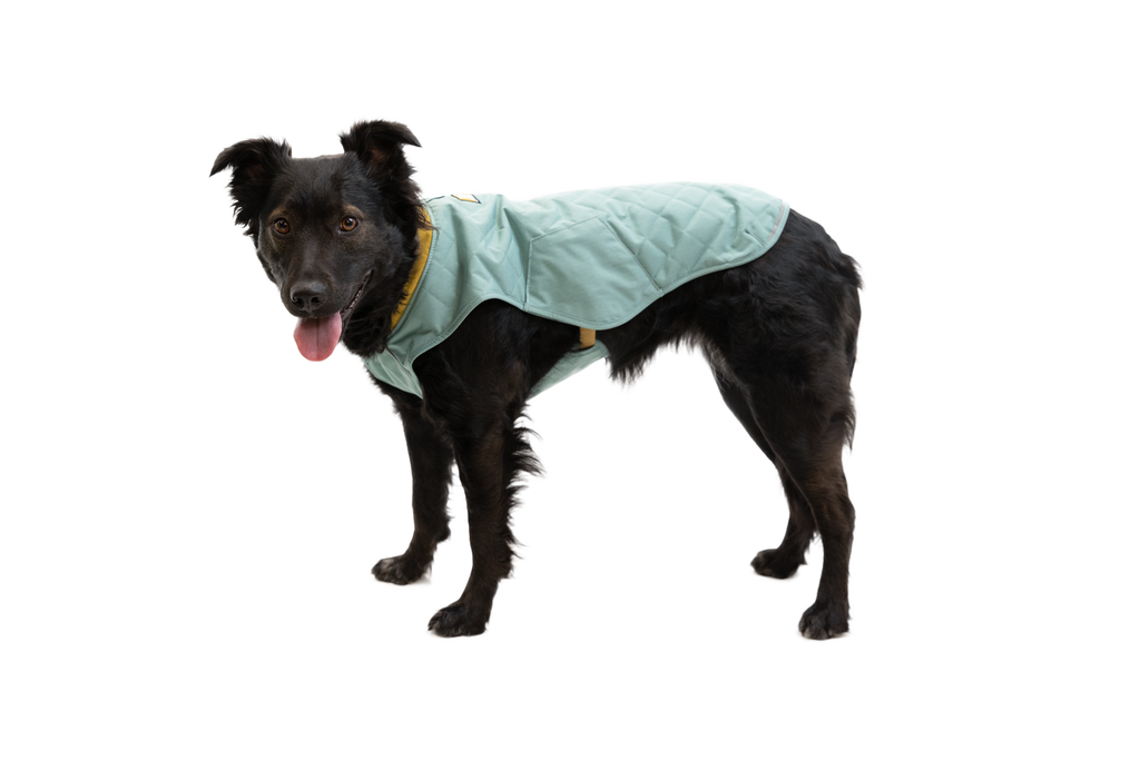 Stumptown™ Insulated Vest
