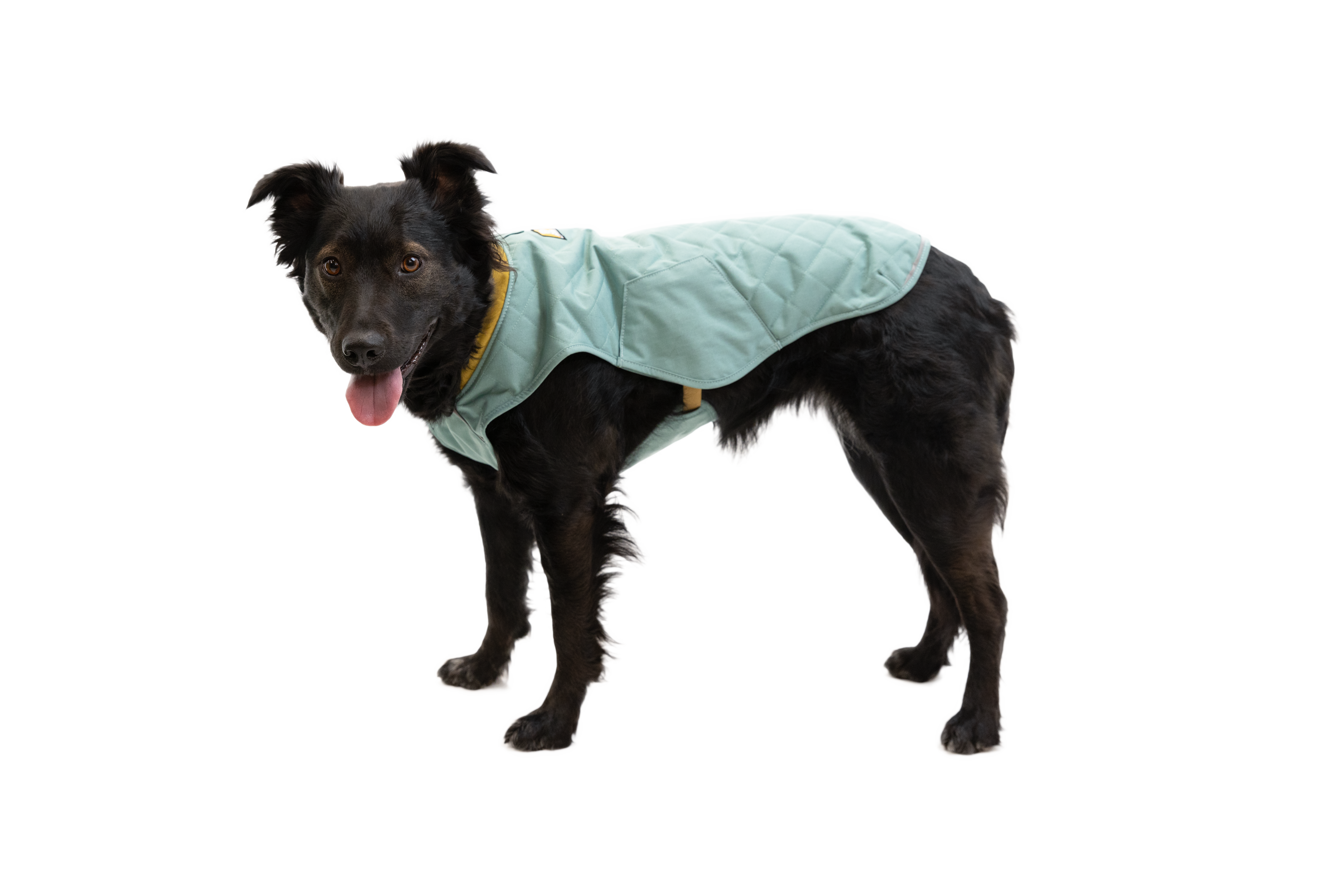 Stumptown™ Insulated Vest