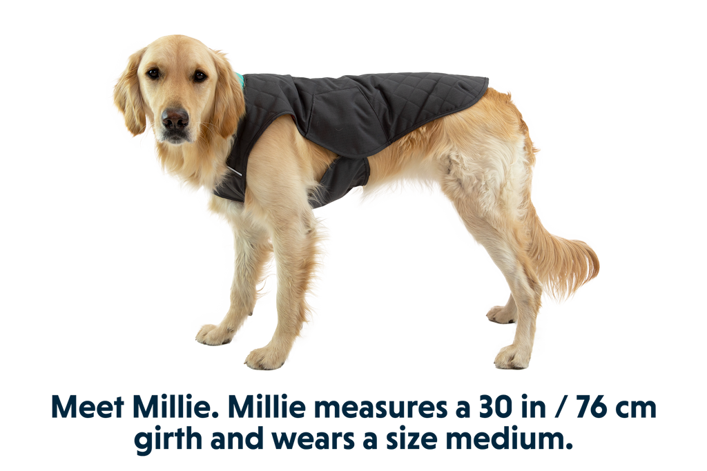 Stumptown™ Insulated Vest
