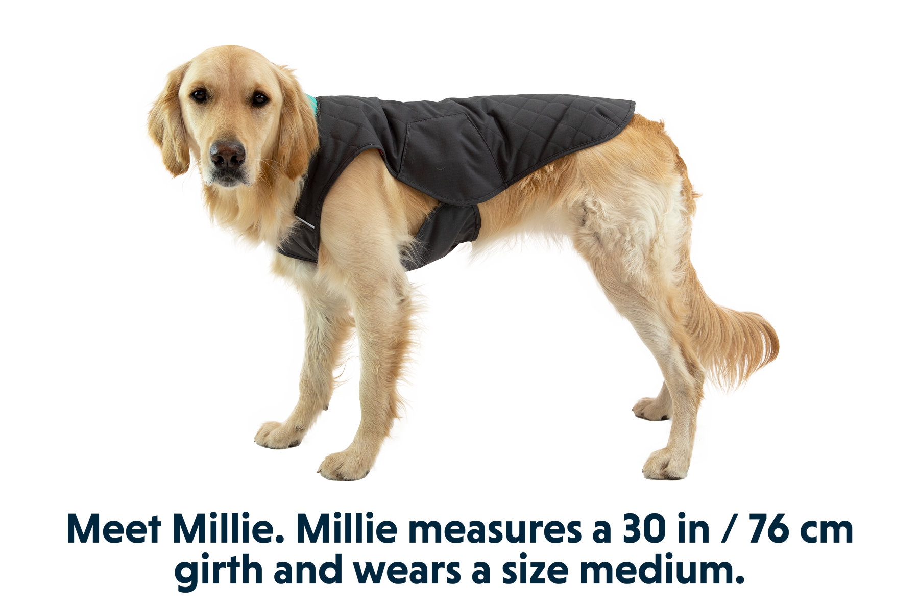 Stumptown™ Insulated Vest