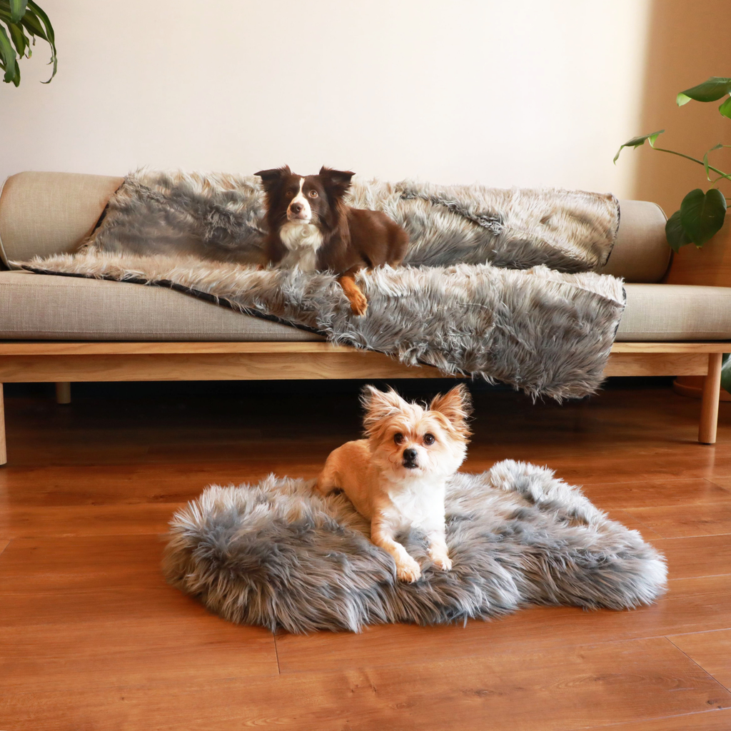 PupRug® Orthopedic Bed + Matching Waterproof Blanket Bundle - Charcoal Grey