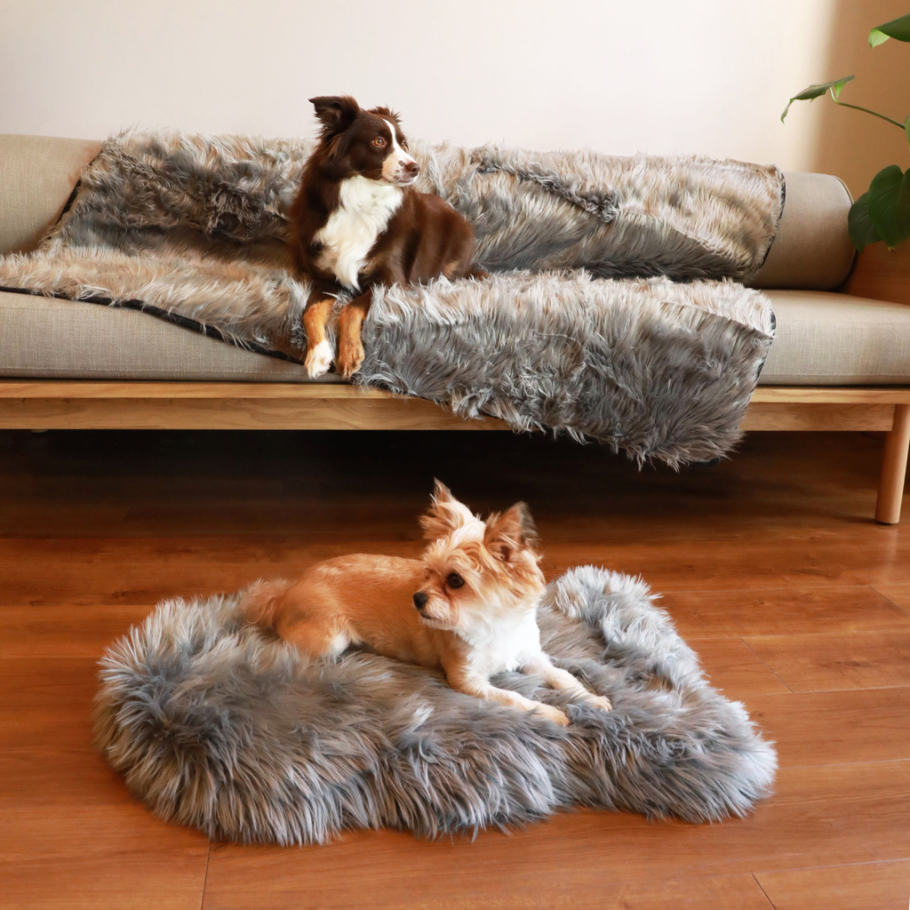 PupRug® Orthopedic Bed + Matching Waterproof Blanket Bundle - Charcoal Grey