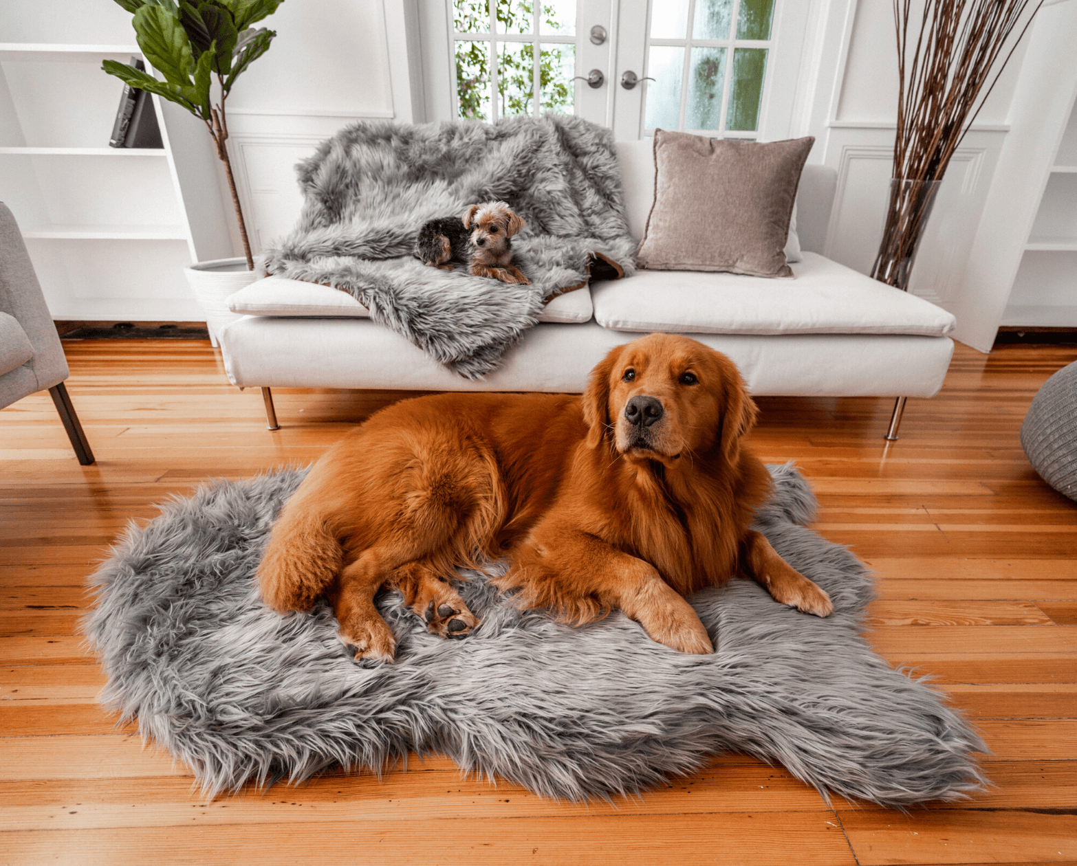 PupRug® Orthopedic Bed + Matching Waterproof Blanket Bundle - Charcoal Grey