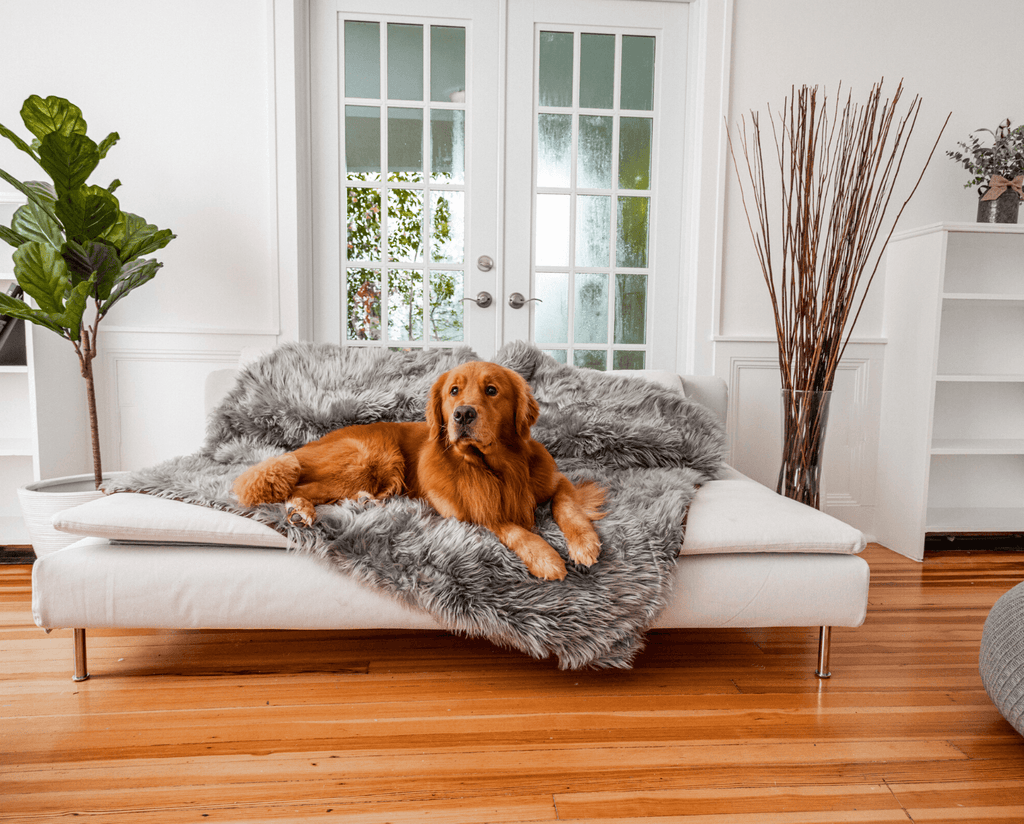 PupRug® Orthopedic Bed + Matching Waterproof Blanket Bundle - Charcoal Grey