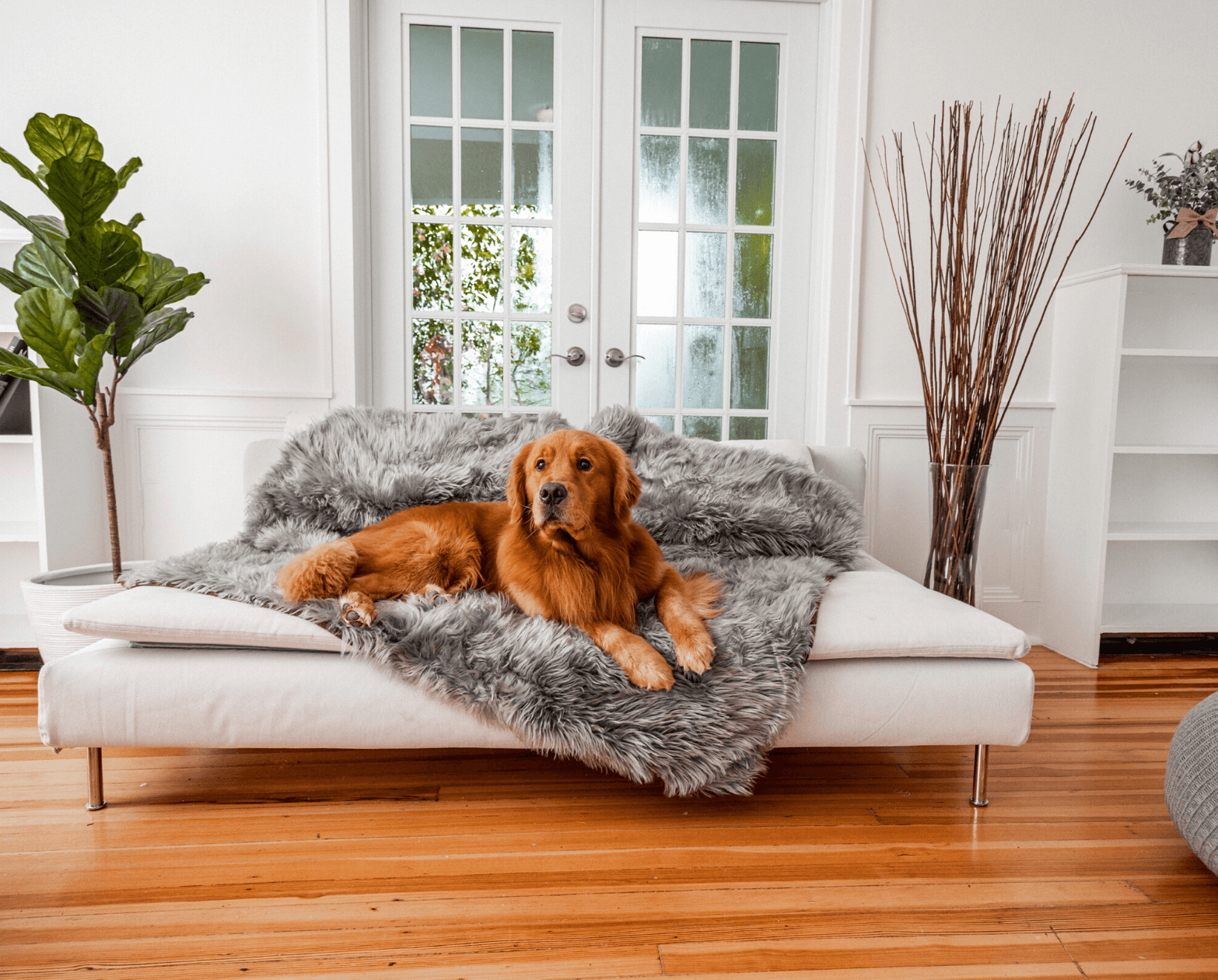 PupRug® Orthopedic Bed + Matching Waterproof Blanket Bundle - Charcoal Grey