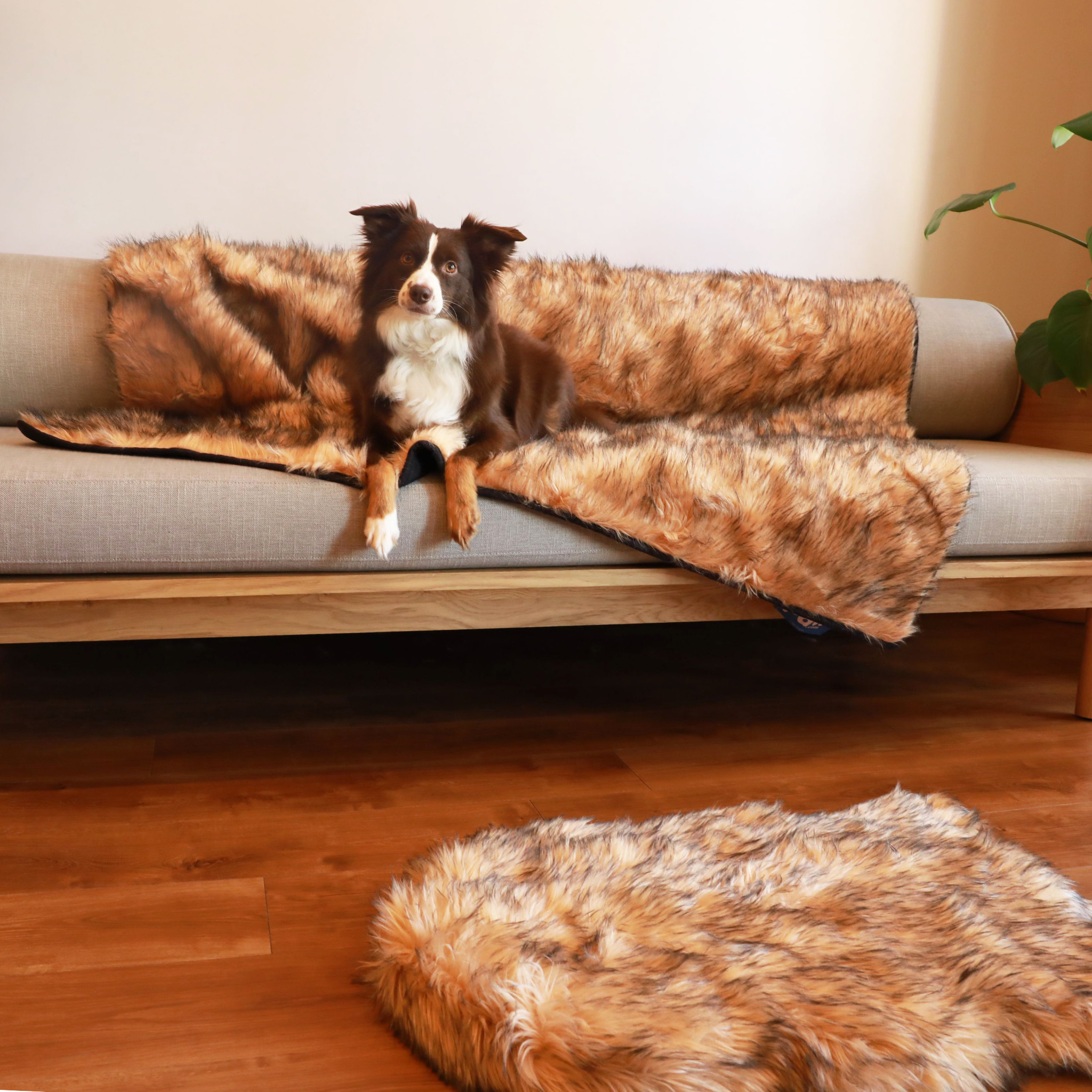PupRug® Orthopedic Bed + Matching Waterproof Blanket Bundle- Sable Tan