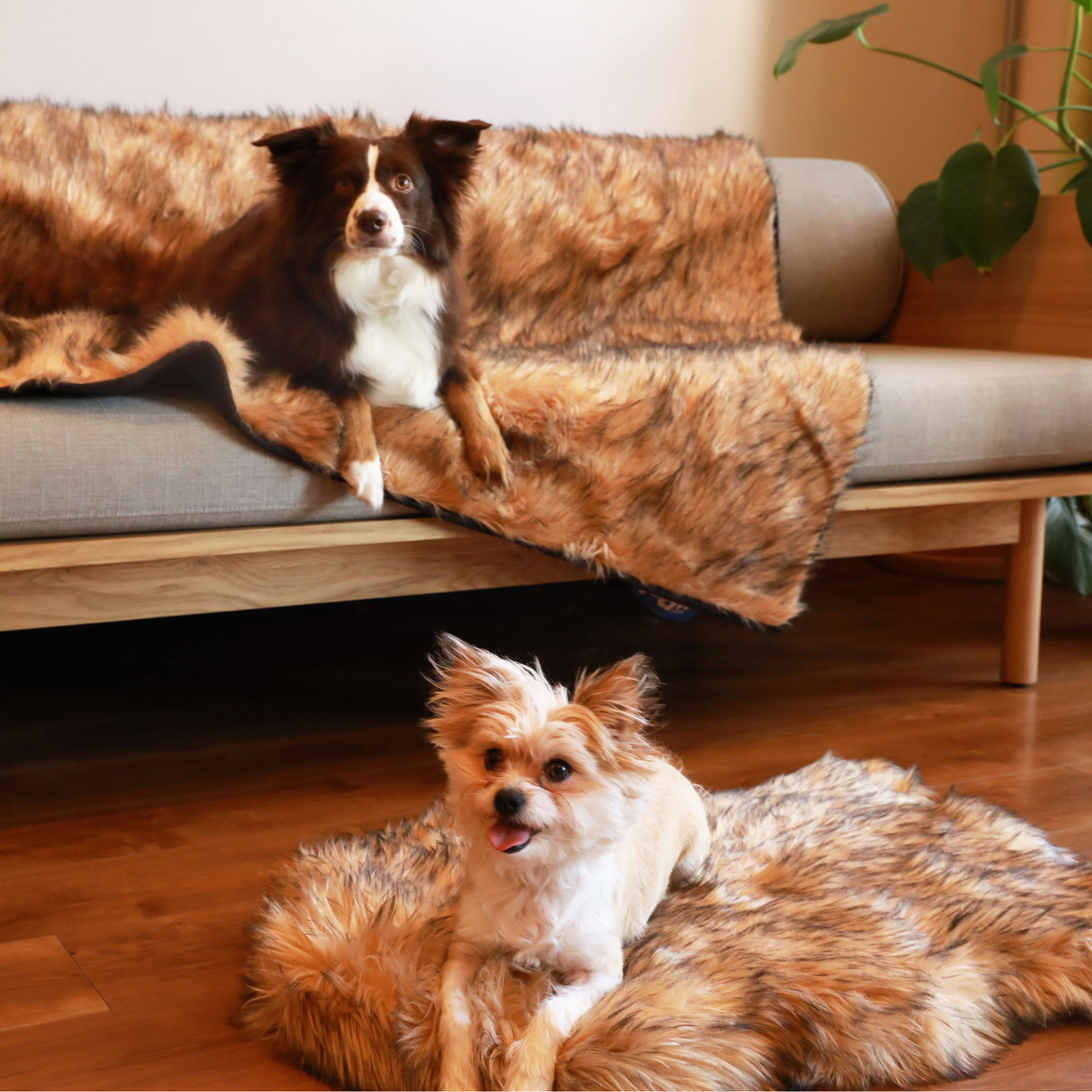 PupRug® Orthopedic Bed + Matching Waterproof Blanket Bundle- Sable Tan
