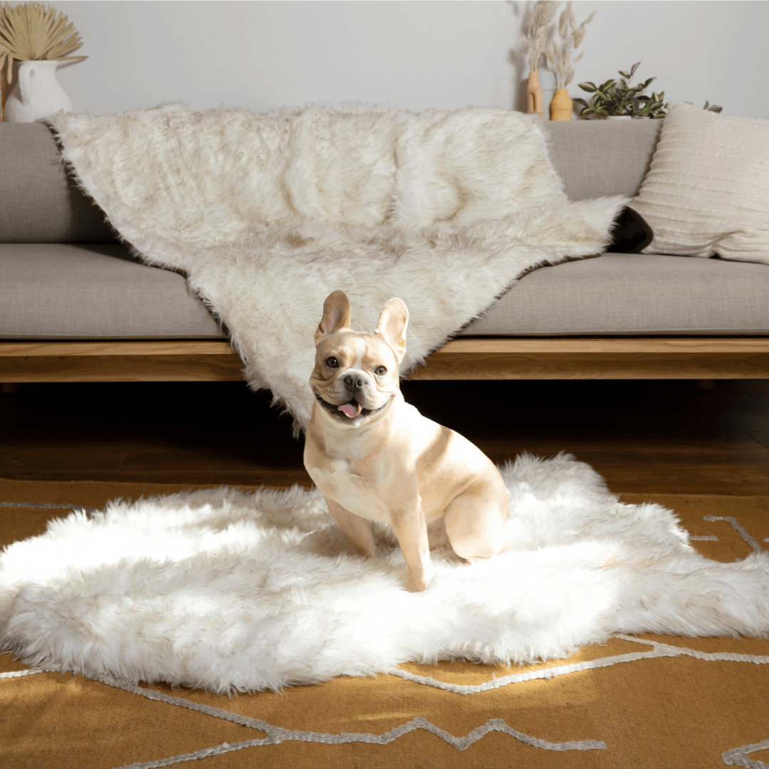 PupRug® Orthopedic Bed + Matching Waterproof Blanket Bundle - White with Brown Accents
