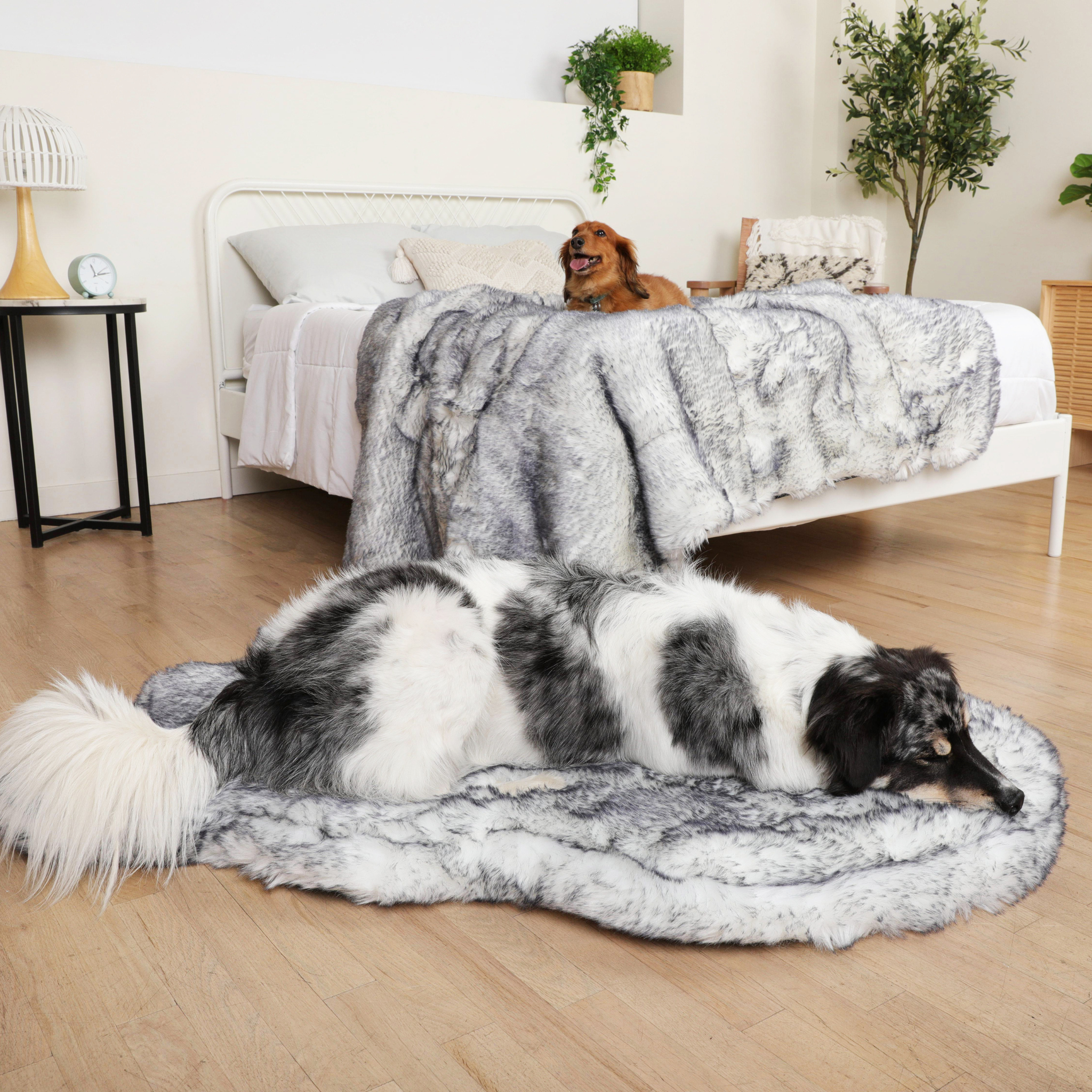 PupRug® Luxe Orthopedic Bed + Matching Waterproof Blanket  Bundle - Ultra Plush Arctic Fox