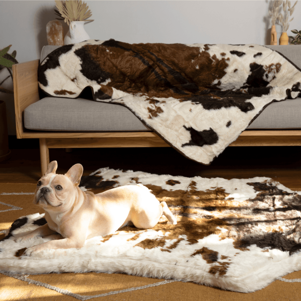 PupRug® Memory Foam Bed + Matching Waterproof Blanket Bundle - Brown Faux Cowhide