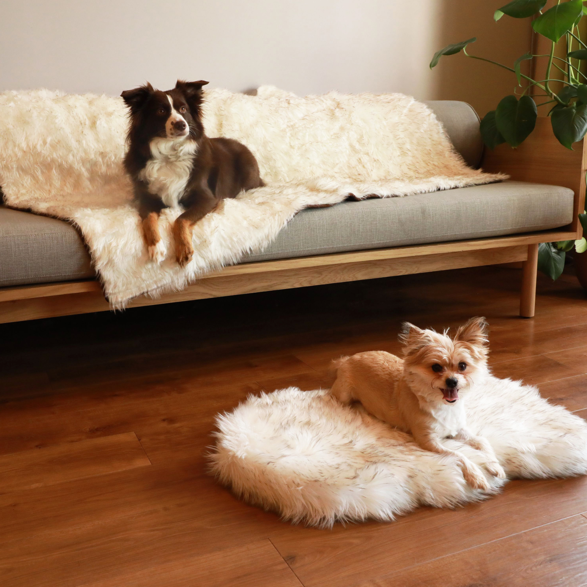 PupRug® Orthopedic Bed + Matching Waterproof Blanket Bundle - White with Brown Accents