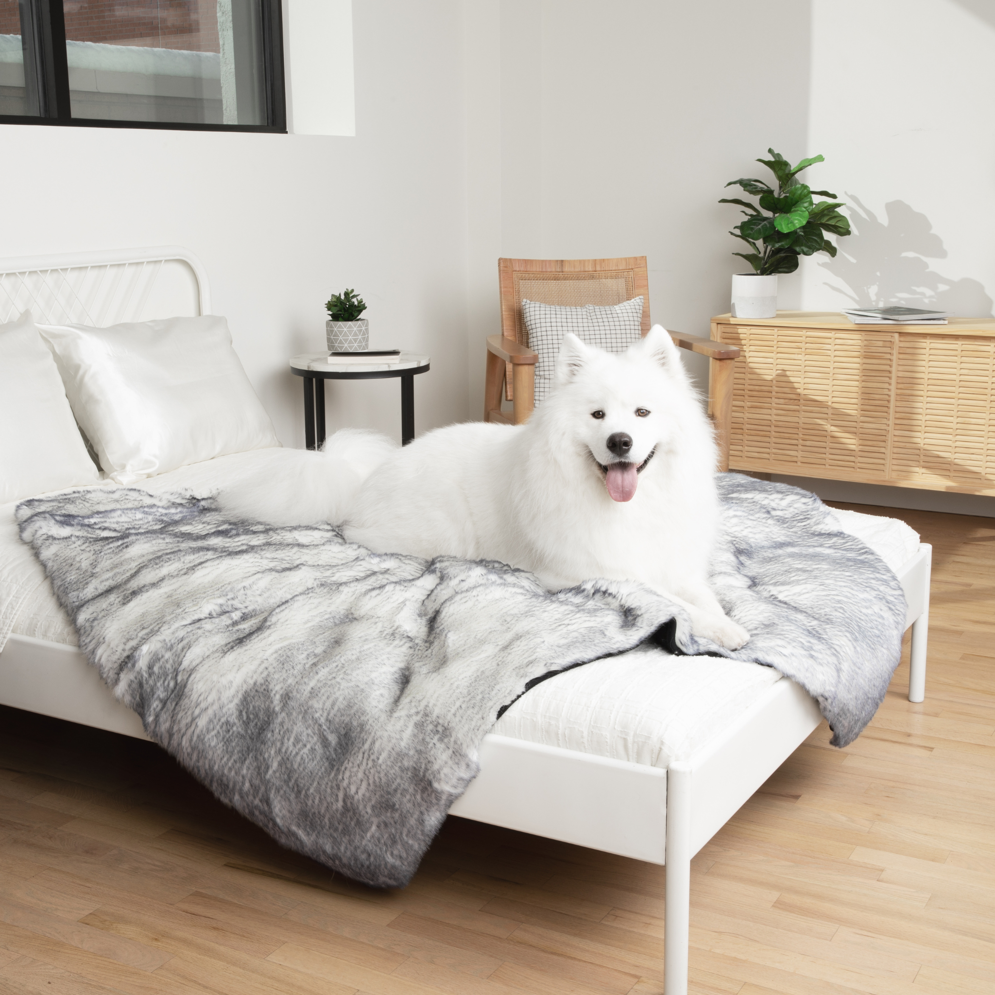 PupRug® Luxe Orthopedic Bed + Matching Waterproof Blanket  Bundle - Ultra Plush Arctic Fox